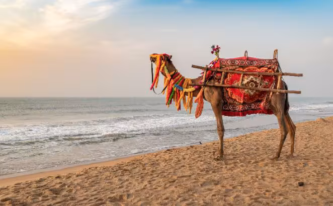 Puri Beach